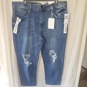 Women's High Rise Distressed Blue Jeans